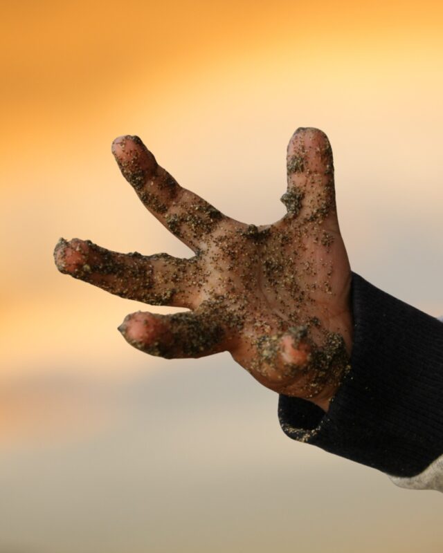 Wist je dat… kinderen die vaak vies mogen worden minder snel last hebben van overprikkeling? 🦔

Door te spelen met zand, modder, gras of water, leert hun lichaam omgaan met allerlei soorten prikkels. Hun zenuwstelsel raakt gewend aan verschillen in structuur, temperatuur en gevoel.

Het resultaat?
· Minder gevoelig voor overprikkeling, ook op langer termijn
· Meer ontspanning en zelfvertrouwen
· Een sterkere weerstand

Dus die vieze kleren of modderige handen? Dat is eigenlijk een teken dat kinderen volop aan het leren zijn. 💡

Laat jij kinderen vrij vies worden tijdens het spelen?

#viesworden #overprikkeling #dinck #wistjedat #onlineactiviteitenplatform