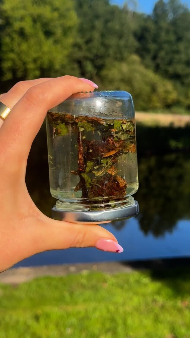 In de herfst dwarrelen de blaadjes langzaam naar beneden en vandaag hebben wij dit zelf nagemaakt in een eigen herfstbol! 🍂

Wat heb je nodig: 
🤎 Een lege pot
🤎 Herfstblaadjes
🤎 Lijm
🤎 Een schaar
🤎 Water
🤎 Glycerine
🤎 En een leuk herfst takje (klein)

Plak de tak aan de deksel van het potje, knip blaadjes in kleine stukjes en voeg ze samen met water toe aan het potje. Voeg als laatst wat glycerine toe: dat zorgt ervoor dat de blaadjes langzamer naar beneden vallen! 

Vergeet de pot niet dicht te doen en schudden maar! Nu heb je je eigen herfstbol gemaakt! 🍁